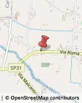 Via Roma, 114,35010Massanzago