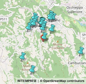 Mappa Via Vagliumina, 13895 Graglia BI, Italia (0.8345)