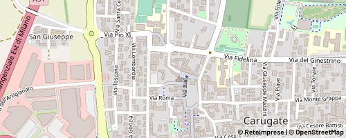 Mappa Carugate