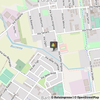 Consulenza Informatica,20045Milano