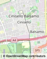 Impianti Sportivi Cinisello Balsamo,20092Milano