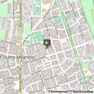 Chiropratica Cusano Milanino,20095Milano