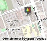 Otorinolaringoiatria - Medici Specialisti,20092Milano