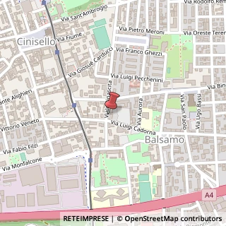 Mappa Viale Rinascita, 121, 20092 Cinisello Balsamo, Milano (Lombardia)