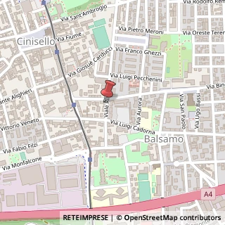 Mappa Viale Rinascita, 96, 20092 Cinisello Balsamo, Milano (Lombardia)