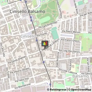 Chiropratica Cinisello Balsamo,20092Milano
