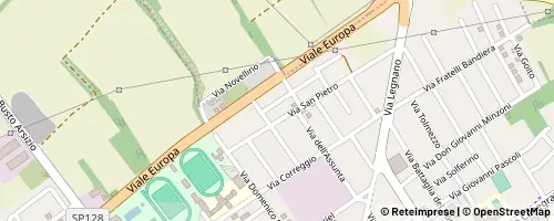 Mappa Busto Garolfo