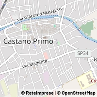 Kort Castano Primo