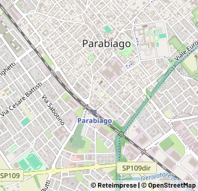 Mappa 20015 Parabiago MI, Italia (0.292)