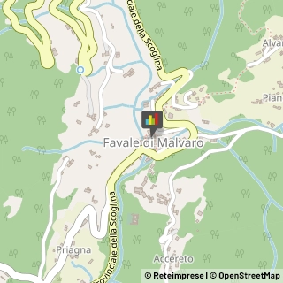 Miele Favale di Malvaro,16040Genova