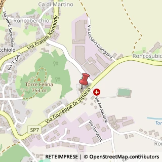 Mappa Via Giuseppe Di Vittorio, 21, 42035 Castelnovo Ne' Monti, Reggio nell'Emilia (Emilia Romagna)
