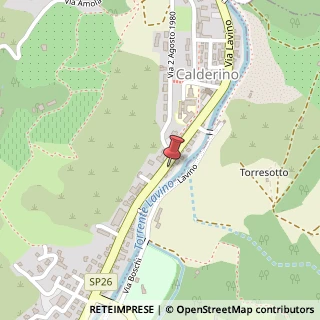 Mappa Via Lavino, 62A, 40050 Monte San Pietro, Bologna (Emilia Romagna)