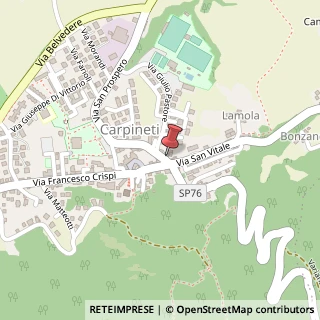 Mappa Via San Prospero, 6, 42033 Carpineti, Reggio nell'Emilia (Emilia Romagna)