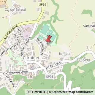 Mappa Piazza del Tricolore, 2, 42033 Carpineti, Reggio nell'Emilia (Emilia Romagna)