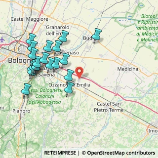 Mappa Via Piemonte, 40064 Ozzano dell'Emilia BO, Italia (8.921)