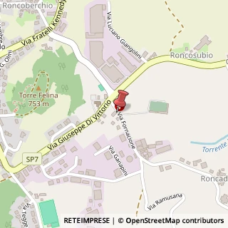 Mappa Via Fornacione, 1A, 42035 Castelnovo Ne' Monti, Reggio nell'Emilia (Emilia Romagna)