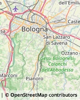 Consulenza Informatica Bologna,40141Bologna