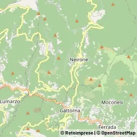 Mappa Neirone