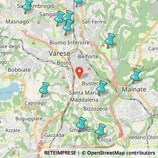 Mappa Via Vittoria Colonna, 21100 Varese VA, Italia (2.90909)