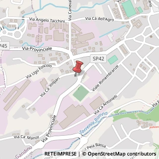 Mappa Via Provinciale, 3, 24024 Albino, Bergamo (Lombardia)