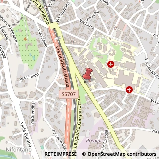 Mappa Viale Luigi Borri, 59, 21100 Varese, Varese (Lombardia)