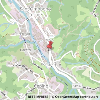 Mappa Viale Vittorio Veneto, 24038 Sant'Omobono Terme, Bergamo (Lombardia)