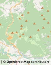 Informazioni Commerciali Folgaria,38064Trento