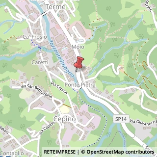 Mappa Via vittorio veneto 137, 24038 Sant'Omobono Terme, Bergamo (Lombardia)