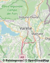 Palestre e Centri Fitness Azzate,21022Varese