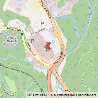 Mappa Viale Belforte, 315, 21100 Varese, Varese (Lombardia)