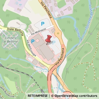 Mappa Viale Belforte, 21100 Varese, Varese (Lombardia)