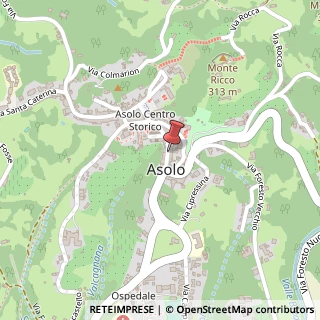 Mappa Via Browning, 160-161, 31011 Asolo, Treviso (Veneto)