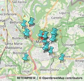 Mappa Via Luigia Sanvito, 21046 Malnate VA, Italia (1.25)