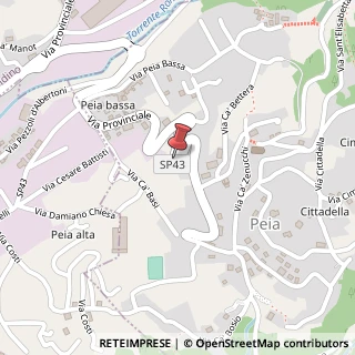 Mappa Via provinciale 43, 24020 Peia, Bergamo (Lombardia)