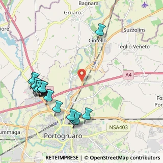 Mappa Via Udine, 30026 Portogruaro VE, Italia (2.4195)