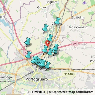 Mappa Via Udine, 30026 Portogruaro VE, Italia (1.6345)