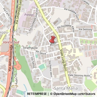 Mappa Via Luigi Mercantini, 19, 21100 Varese, Varese (Lombardia)