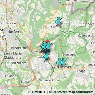 Mappa Via Monte Rosa, 21046 Malnate VA, Italia (1.01)