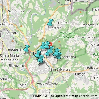 Mappa Via Monte Cervino, 21046 Malnate VA, Italia (1.21615)