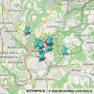 Mappa Via Monte Cervino, 21046 Malnate VA, Italia (1.09)