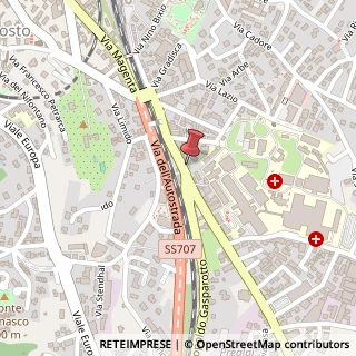 Mappa Viale Luigi Borri, 27, 21100 Varese, Varese (Lombardia)