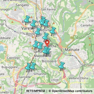 Mappa Via Riccardo Lombardi, 21100 Varese VA, Italia (1.684)