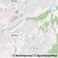 Kart Peia