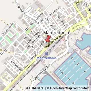 Mappa Viale Aldo Moro, 58/A, 71043 Manfredonia, Foggia (Puglia)