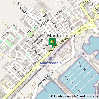 Mappa Viale Aldo Moro, 58/A, 71043 Manfredonia, Foggia (Puglia)