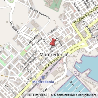 Mappa Via Daunia, 22, 71043 Manfredonia, Foggia (Puglia)