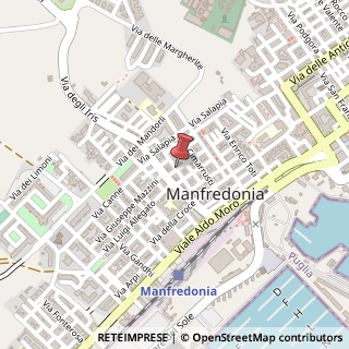 Mappa Via garibaldi giuseppe 7, 71037 Manfredonia, Foggia (Puglia)