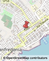 Via delle Antiche Mura, 20,71043Manfredonia