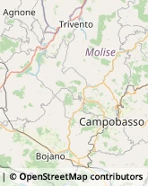 Cosmetici e Prodotti di Bellezza Molise,86011Molise