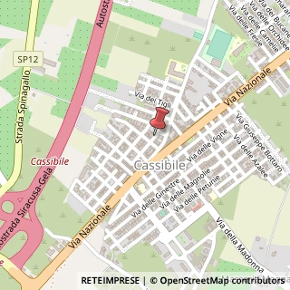 Mappa Via Riscica - Cassibile, 34, 96100 Siracusa, Siracusa (Sicilia)
